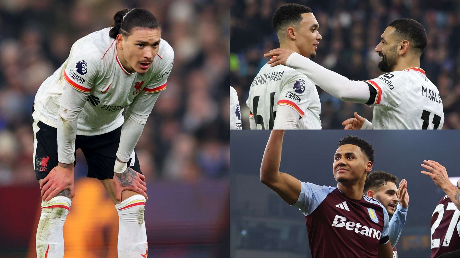 历来就是其 历来就是其